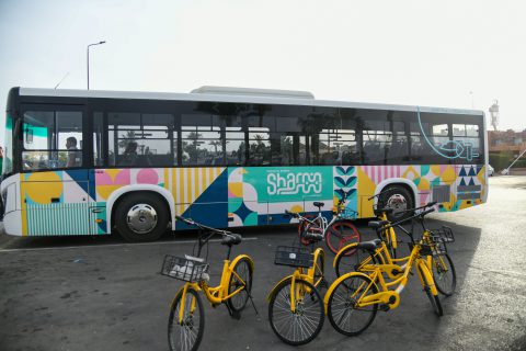 sharm-elsheikh-celebrates-earth-day-2 sharm-elsheikh-celebrates-earth-day-2